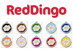 Red Dingo rvs rond - Daisy (1DA)     Reddingo - Hondenpenning - Kattenpenning